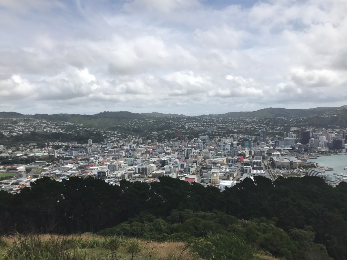 Mount Victoria, TePapa 1.0, and other Wellington&nbsp;Explorations