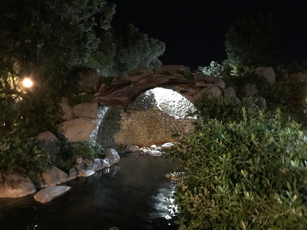 My first Journey outside of Wellington – Traveling to Rotorua and a night at the&nbsp;Spa