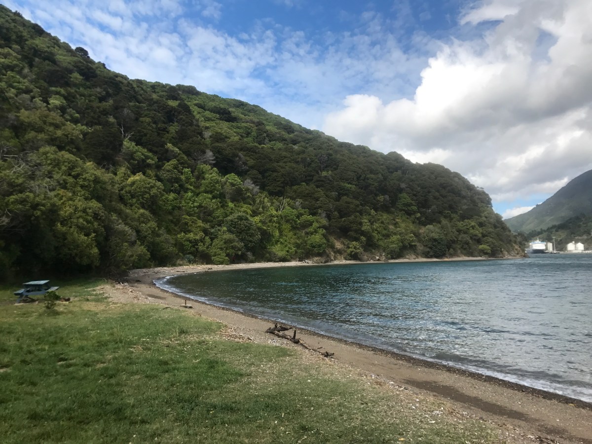 A day in Picton – a tramp to Bob’s Bay, Ships Cove, Dolphins and delivering mail by&nbsp;boat.