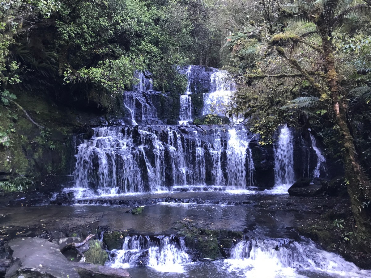 The Catlins – Friday and&nbsp;Saturday