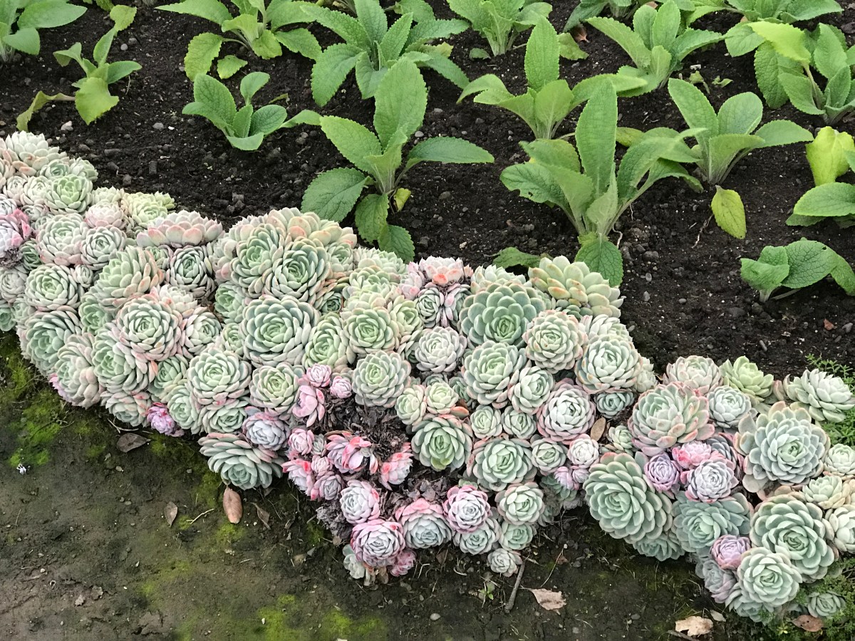 Road Trip – Days 2 and 3 – Hawkes&nbsp;Bay